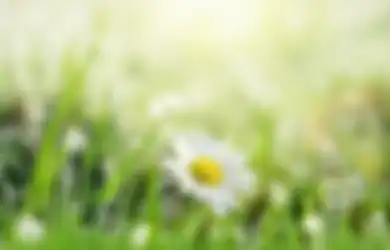 Aroma Tanah Kena Air Hujan Ternyata Disebut Petrichor! Siapa Nih yang Suka?