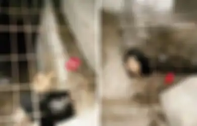 Tragis, Perempuan Ini Dikurung Dalam Sebuah Lubang Bawah Tanah oleh Keluarganya Tanpa Kasur dan Selimut