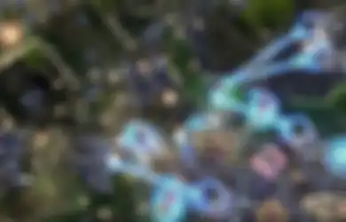 AI Terbaru Google Mampu Kalahkan Pemain Profesional StarCraft II