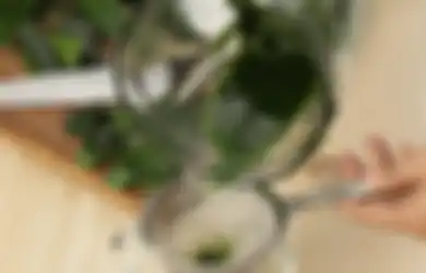 Tak Cuma Jadi Pewarna Makanan, 8 Manfaat Daun Suji Ini Ternyata Lebih Ampuh dari Obat, Mulai dari Turunkan Kolesterol Hingga Obati Sakit Gigi