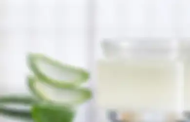 Banyak Manfaatnya, Lidah Buaya Bisa Bantu Pertumbuhan Rambut!