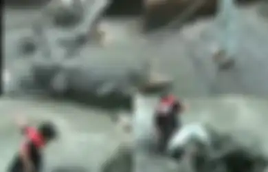 Ceroboh, Panji Petualang Terpeleset dan Nyaris Kehilangan Nyawa karena Diterkam Buaya, Penonton Histeris! 