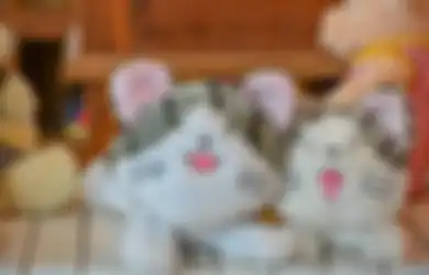 Beli Boneka Anak, Pria Ini Malah Masuk Bui hingga Alami Hal Ini, Terungkap Alasan Mengejutkan di Baliknya