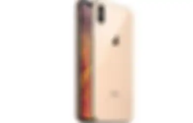 Harga HP Second iPhone XS Max 256GB September 2022, Masih Bagus!