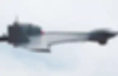 (Video) Drone Kamikaze Israel: Pemandangan Menakutkan untuk Dilihat