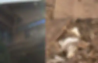Tetangga Ketakutan, Ketika Masuk ke Rumah Seorang Pria yang Meninggal, Ternyata Berisi 500 Tulang Manusia