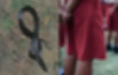 Seorang Anak Digigit Ular Hitam,  Ditelantarkan Dokter di Rumah Sakit hingga Pingsan dan Meninggal Dunia