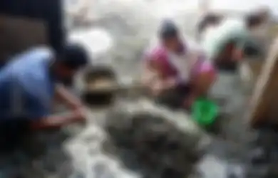 Hati-hati, Kerang Hijau dari Teluk Jakarta Beracun, Tak Layak Dikonsumsi