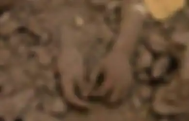 Ingin Pecahkan Rekor Dunia, Namun 5 Orang Ini Malah Meregang Nyawa, Salah Satunya Terkubur Hidup-hidup