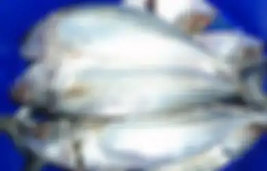 Sering Dipandang Sebelah Mata, Ikan Jenis Ini Berkali-kali Lipat Lebih Baik dari Ikan Salmon yang Harganya Selangit, Harganya Lebih Murah dan Ampuh Sembukan Penyakit Jantung!