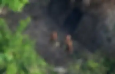 Ini Alasan Suku-suku Asli di Hutan Amazon Ingin Dibiarkan Sendiri
