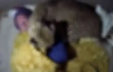 Merasakan Kehangatan Saat Tidur, Siapa Sangka Pria Ini Ternyata Satu Kasur Dengan Seekor Cheetah