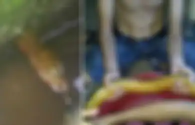 Mengira 'Ular Raksasa', Pria Ini Terkejut Tangkap 'Hewan Langka' Mirip Ular Berusia 30 Tahun, Jika Dijual Harganya Mencapai Rp45 Juta