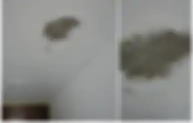 Picu Penyakit Mengerikan, Waspadai Tampilan Plafon Rumah yang Bernoda Seperti Ini, Bisa Jadi Akibat Jamur!