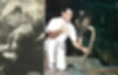 Nyaris Mati Digigit Ular Berbisa, Ilmuwan Ini Malah Ketagihan dan Sengaja Digigit Ular Sampai 173 Kali, Endingnya Mengejutkan Darahnya Berubah Menjadi Seperti Ini