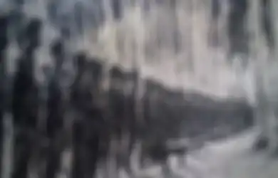 60 Tahun Jadi Perisai Negara, Kostrad Punya Perjuangan Panjang Sebelum Dibentuk Secara Sempurna, Berawal dari Panasnya Konflik Irian Barat, Berikut Sejarahnya...