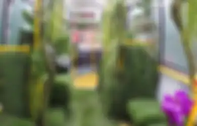 Penuh Tanaman Bikin Serasa di Hutan saat Masuk ke Dalam Bus, Begini Sensasi Tak Terduganya!