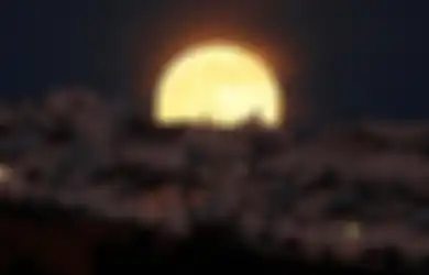 Siap-siap! Ini 3 Fenomena Langit yang Akan Terjadi di Bulan April, Salah Satunya Hanya Bisa Dinikmati 3 Kali di Tahun 2020