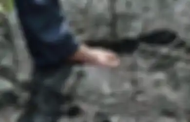 Penemuan Jejak Kaki Raksasa: Telapak Kaki Raksasa atau Buatan Manusia?