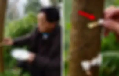 Bukan Pupuk, Warga di China Justru Beri Nasi pada Pohon Agar Subur dan Berbuah Lebat, Ahli Sebut Cara Itu Berhasil