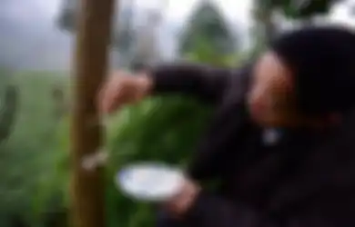 Meniliki Kebiasaan Aneh Warga Lokal di Cina yang Suka 'Memberi Makan' Pohon, Siapa Sangka Benar-benar Bikin Subur!