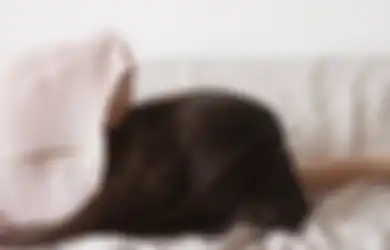 Dipaksa Tidur dengan Pria Asing dengan Alasan Tak Masuk Akal, Janda Cantik Ini Diminta Lakukan Ritual Seks Paling Aneh dengan Sang Lelaki