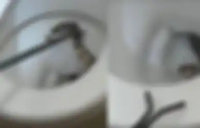 Seorang Ibu Terkejut Mengetahui Putrinya yang Masih Kecil Duduk di Atas Toilet dengan Ular Kobra Berbisa