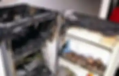 Barang Ini Tidak Boleh Diletakkan Dekat Kulkas, Bahayanya Tak Main-main!