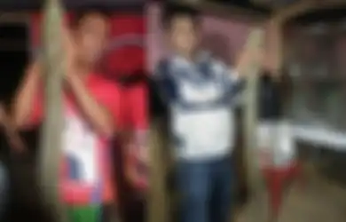 Belut Raksasa Berukuran 2 Meter Ditemukan Warga  Sumatera Utara, Seperti Inilah Penampakannya