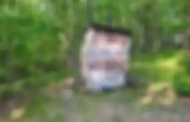Toilet Tengah Hutan Terlihat Menyeramkan, Isi di Dalamnya Justru Buat Orang Kagum
