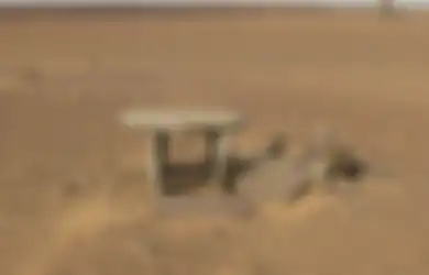 Misterius, Apa Arti Penemuan Ratusan Struktur Batu Berusia Ribuan Tahun di Sahara?
