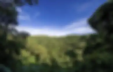 Apa Saja yang Dapat Kita Lakukan untuk Memperbaharui Sumber Daya Alam? Kunci Jawaban Soal TVRI untuk SD Kelas 4-6 Rabu 29 Juli 2020