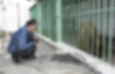 Karena Bersalah, Beruang Ini Dipenjara Seumur Hidup Bersama 730 Penjahat Manusia Berbahaya