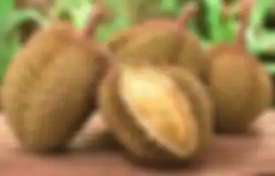 Penderita Asam Lambung Disarankan Hindari Konsumsi Buah Durian, Jangan Ngeyel Jika Tak Ingin Alami Sederet Hal Ini