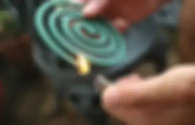 Segera Hindari Obat Anti Nyamuk  Karena Dapat Picu Kanker Paru Seperti Sutopo Purwo Nugroho BMKG