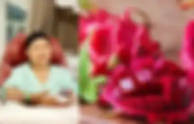 Sutopo Sarankan Ibu Ani Makan Buah Naga, yang Punya Manfaat Luar Biasa untuk Ibu Hamil: Dari Cegah Cacat Hingga Bantu Pembentukan Otak
