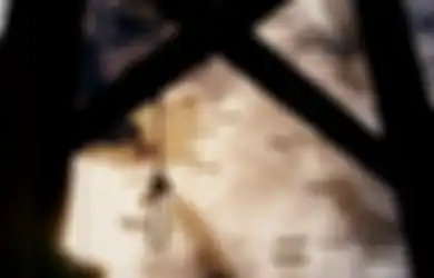 Hukuman Mati di Israel, Paling Terkenal Eksekusi Perwira Senior SS Nazi