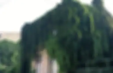 Kisah Rumah-Rumah Hantu Rumania dan Penghuninya yang Terpaksa Pindah