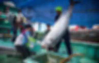 Kaleidoskop Intisari 2019: Tuna hingga Lobster Indonesia Kini Rajai Pasar Dunia, Semua Berkat Aksi Menteri Susi Tenggelamkan Ratusan Kapal