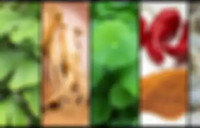 7 Bumbu dan Rempah Alami untuk Memperlambat Proses Penuaan, Apa Saja?