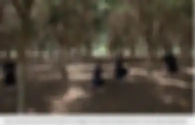 Kisah Kota Misterius dengan Kedamaian yang Tiba-tiba Terusik Karena Isu Anak Gadis Mereka Diperkosa 'Iblis'