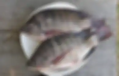 Dibalik Rasanya yang  Lezat, Inilah 5 Fakta Berbahaya Bila Konsumsi Ikan Mujair, Yakin Masih Mau Makan?
