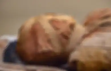 Pantas Saja Mumi Firaun Tutankhamun 'Abadi' hingga Ribuan Tahun hingga Bikin Ilmuwan Bingung, Terkuak Rahasia Besar Formula Mumifikasi Mesir yang Mengejutkan Ini