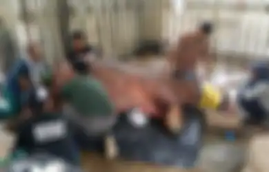 Sang Jantan Terakhir di Malaysia Mati, Harapan Kelestarian Badak Sumatera Kini di Tangan Indonesia