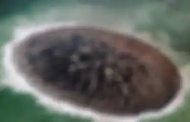 Nyaris Tak Terjamah Tangan Manusia, ini Dia 5 Misteri Bawah Laut yang Belum Terungkap Hingga Kini