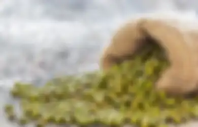 Enggak Nyangka! Ini 5 Manfaat Kacang Hijau Bagi Kesehatan Tubuh