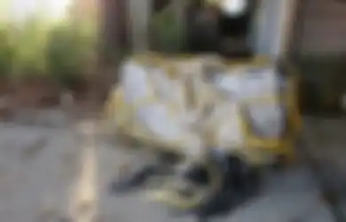 Temukan Paketan Segelondong di Pinggiran Pantai, Wisatawan Terkejut Isinya Benda Haram Senilai Rp14 Triliun