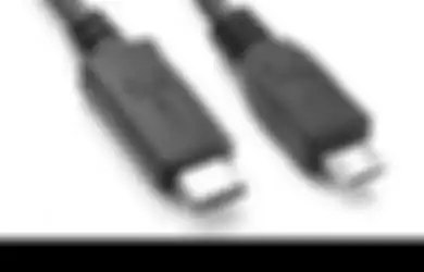 Perbedaan Dasar Kabel USB Type-C dan micro-USB yang Perlu Diketahui