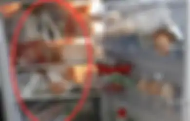 Sering Dilakukan, Kebiasaan Menyimpan Makanan dengan Plastiknya di Dalam Kulkas Justru Bisa Timbun Penyakit Loh!