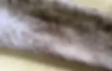 Wanita Ini Rendam Pakaian yang Penuh Noda Minyak dengan Campuran Colla, Enggak Sangka Hasilnya Malah Lebih Bersih dari Deterjen!